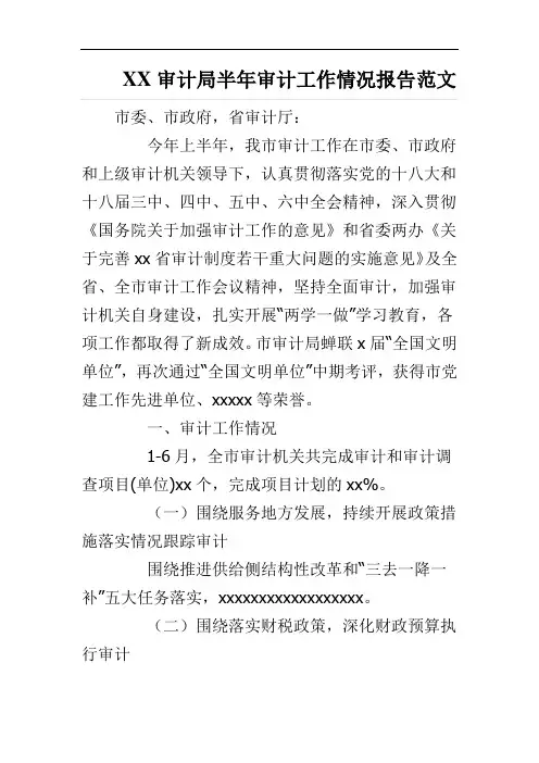 XX审计局半年审计工作情况报告范文