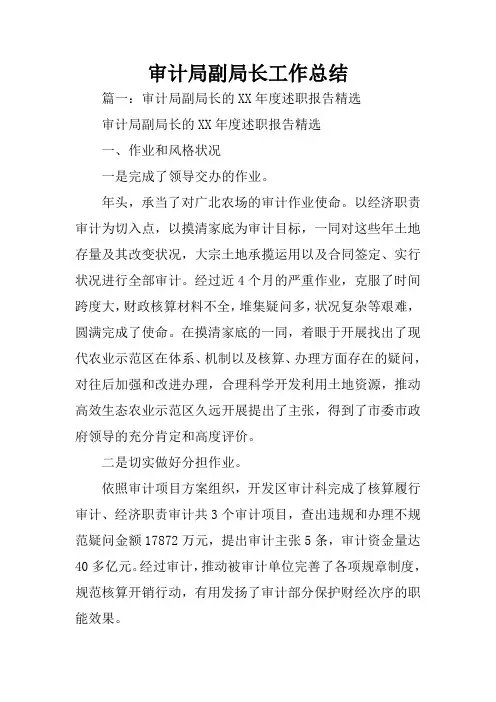 审计局副局长工作总结