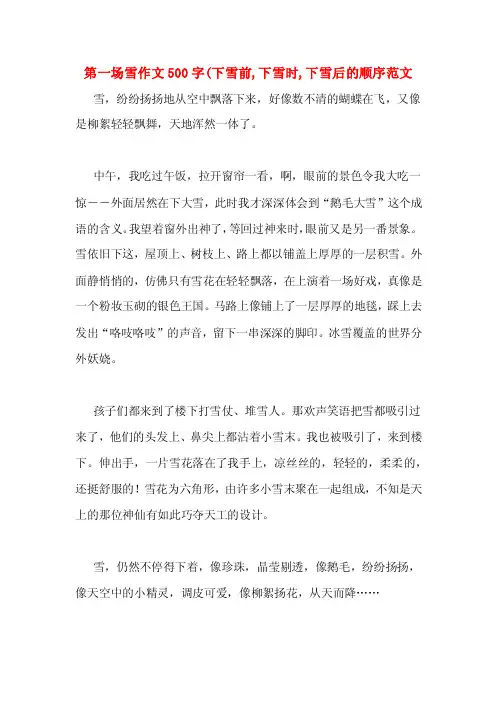 第一场雪作文500字（下雪前,下雪时,下雪后的顺序范文