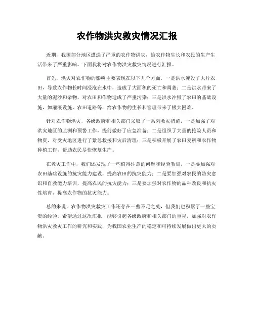 农作物洪灾救灾情况汇报
