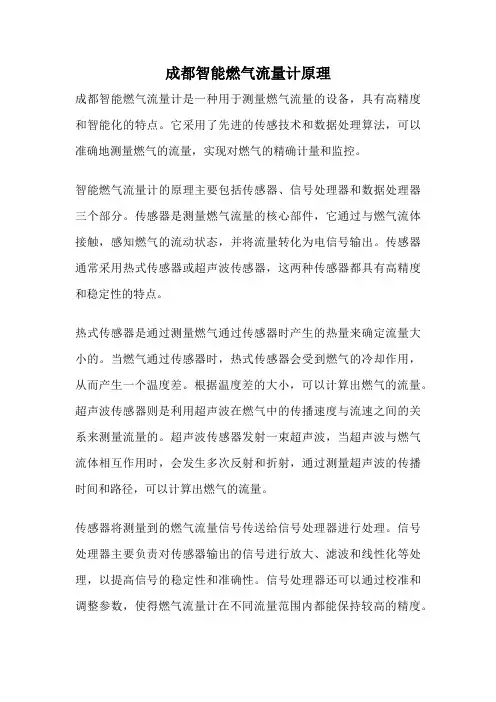 成都智能燃气流量计原理