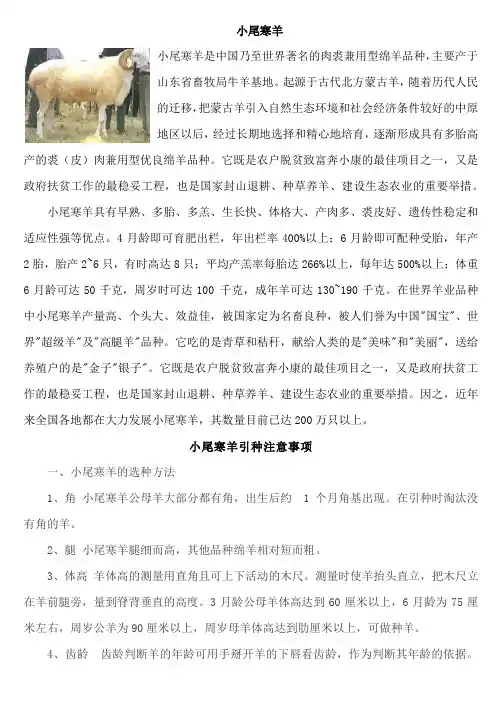 最全短尾寒羊养殖技术