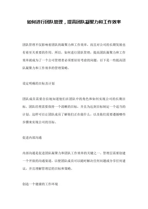 如何进行团队管理,提高团队凝聚力和工作效率