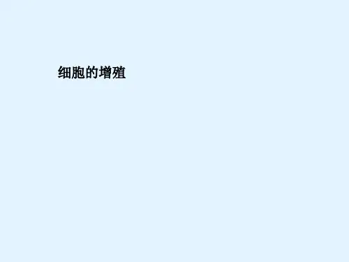 最新2015届高考生物一轮详细复习 细胞的增殖(考点透析+典例跟踪详解+实验导航大题专训)课件 新人教版