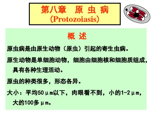 聊城大学农学院《禽病学》课件之球虫病