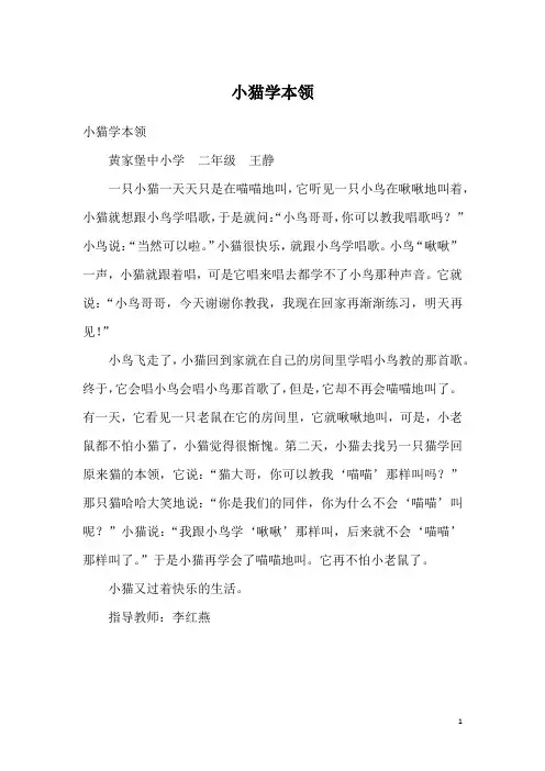 小猫学本领
