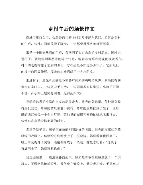 乡村午后的场景作文