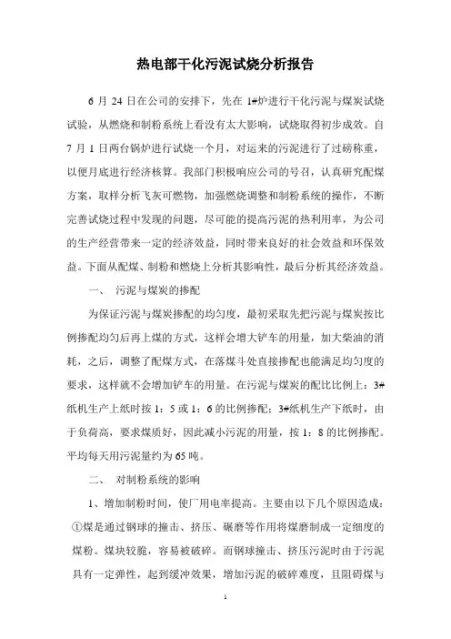试烧干化污泥分析报告