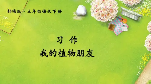 新编人教部编版三年级下册语文《习作：我的植物朋友》名师课件