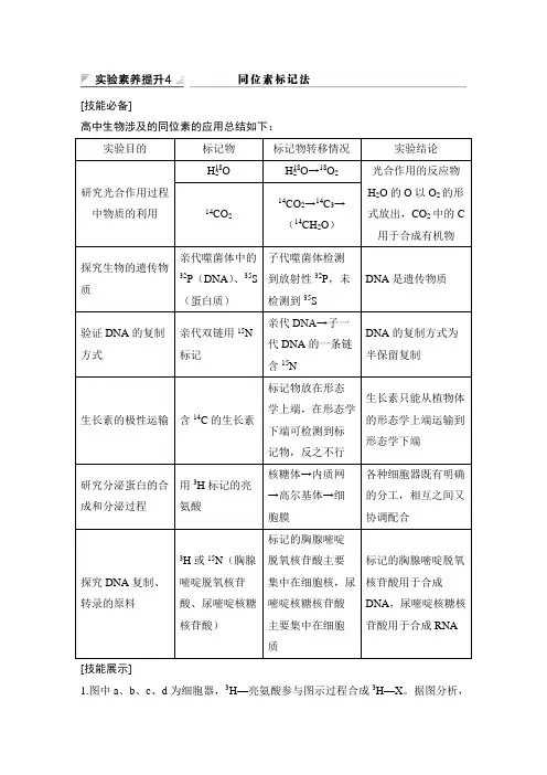 2020高考生物 实验素养提升4 同位素标记法