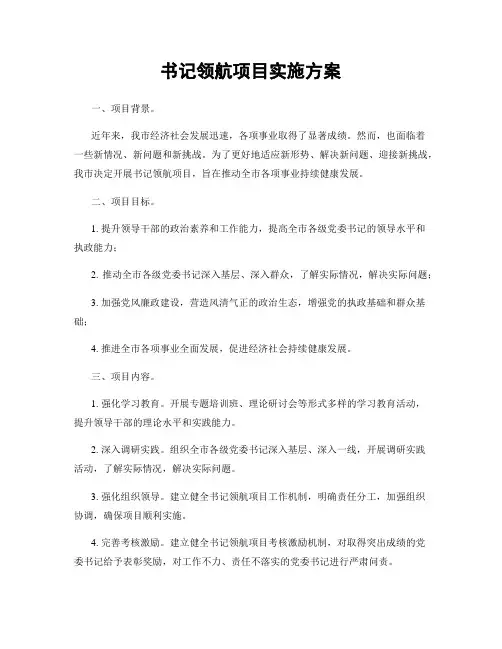 书记领航项目实施方案