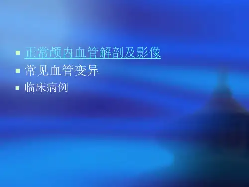 颅脑血管解剖ppt课件.ppt