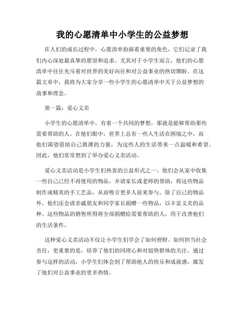 我的心愿清单中小学生的公益梦想