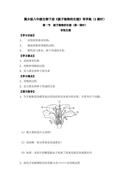 冀少版八年级生物下册《被子植物的生殖》导学案(2课时)