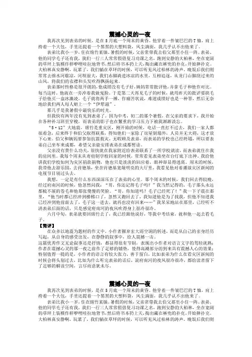 2011年北京高考零分作文