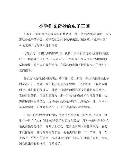 小学作文奇妙的虫子王国