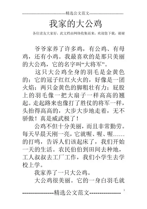 我家的大公鸡