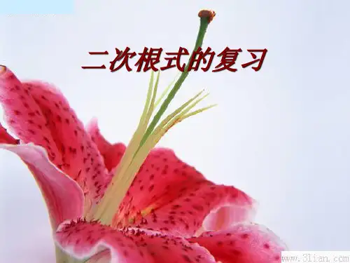 数学八年级下《二次根式》复习课件