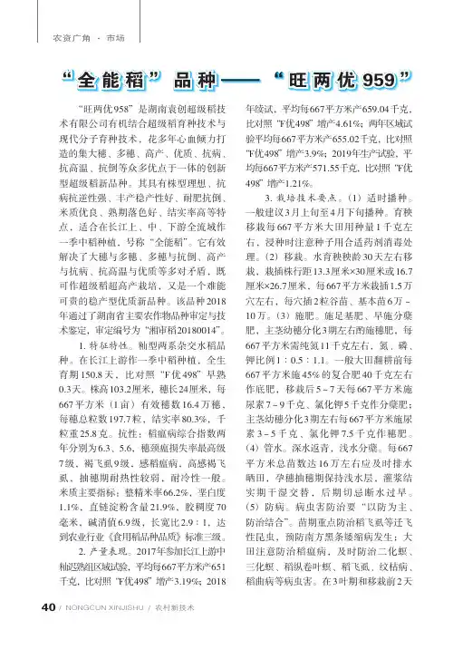 “全能稻”品种——“旺两优959”