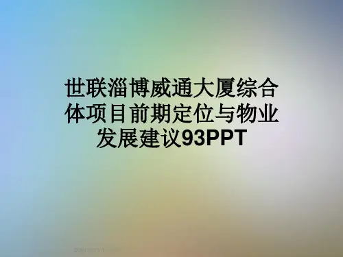 世联淄博威通大厦综合体项目前期定位与物业发展建议93PPT
