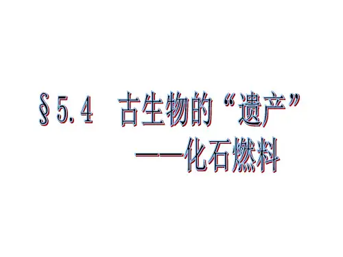 科粤版(2012)初中化学九上  5.4  古代生物的“遗产“—化石燃料   课件  (6)