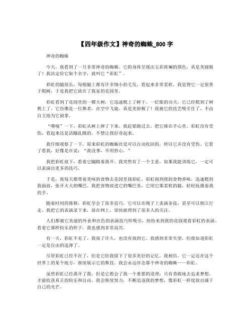 【四年级作文】神奇的蜘蛛_800字