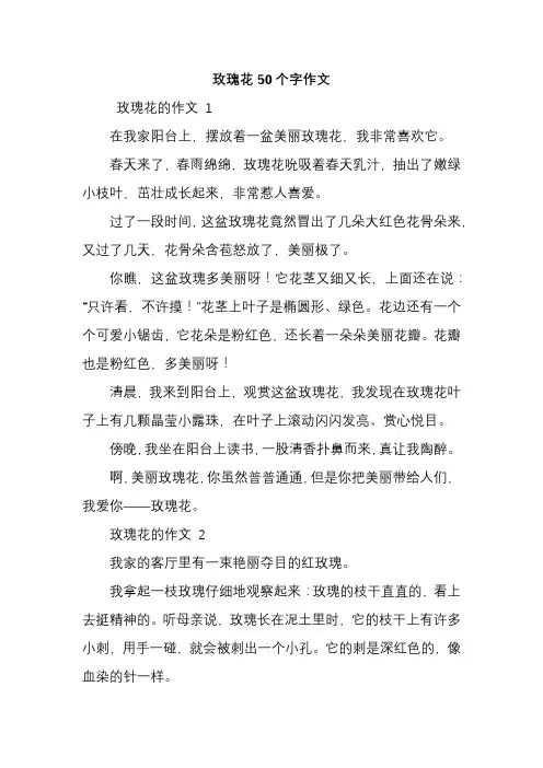 玫瑰花50个字作文