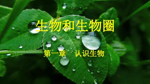 1.1认识生物