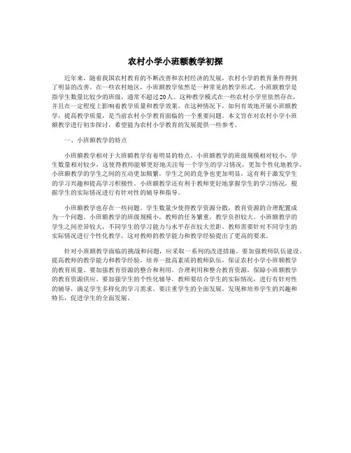 农村小学小班额教学初探