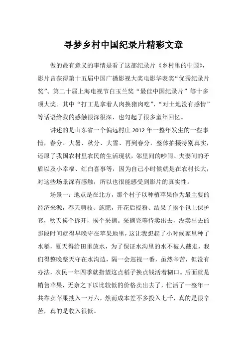 寻梦乡村中国纪录片精彩文章