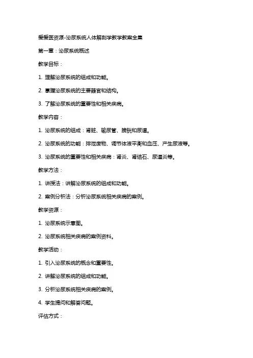 爱爱医资源泌尿系统人体解剖学教学教案全集