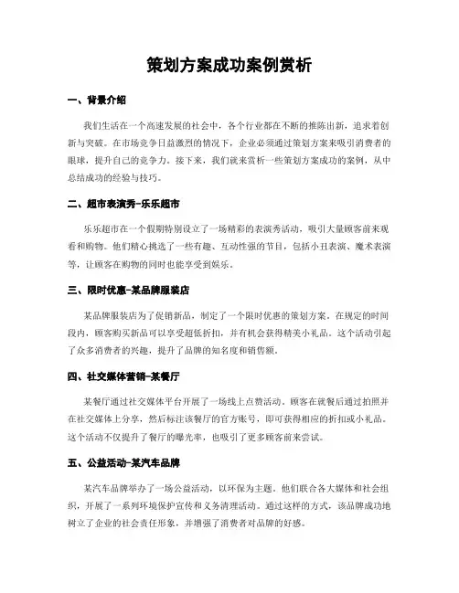 策划方案成功案例赏析