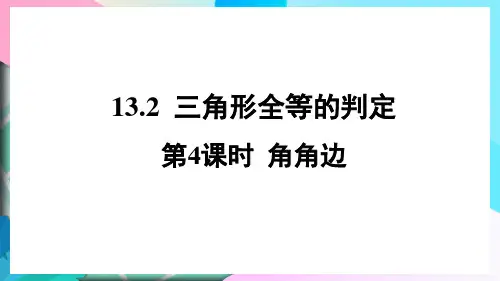 华东师大版八年级数学上册1第4课时角角边课件