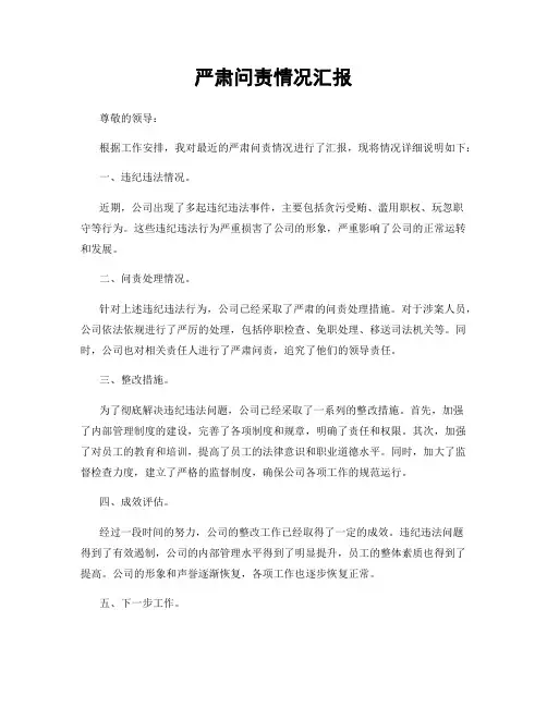 严肃问责情况汇报