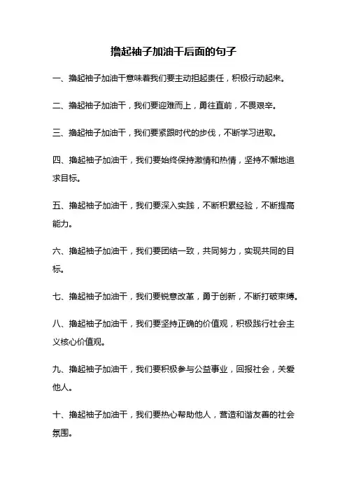 撸起袖子加油干后面的句子