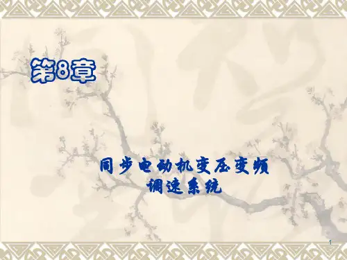 同步电机控制ppt课件