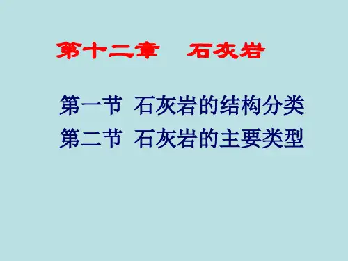 第十二章石灰岩