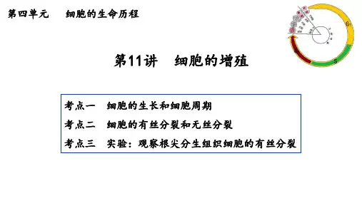 高三生物一轮复习课件：细胞的增殖