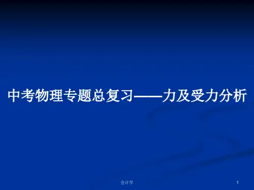 中考物理专题总复习——力及受力分析PPT学习教案