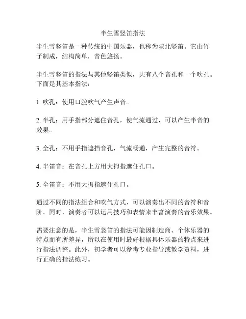 半生雪竖笛指法