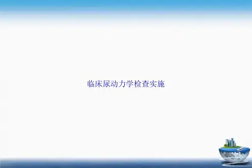 临床尿动力学检查实施讲课文档