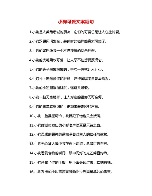 小狗可爱文案短句