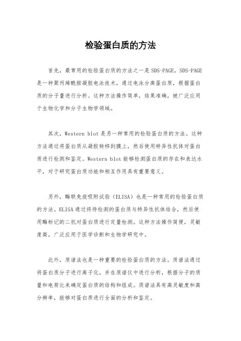 检验蛋白质的方法