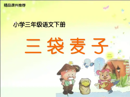 小学三年级语文下册《三袋麦子》精品课件PPT