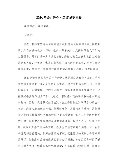 2024年会计师个人工作述职报告(三篇)