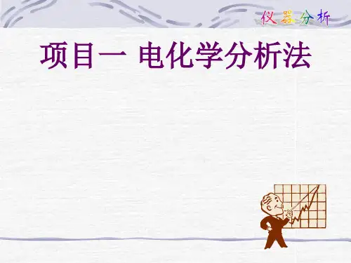 电化学分析