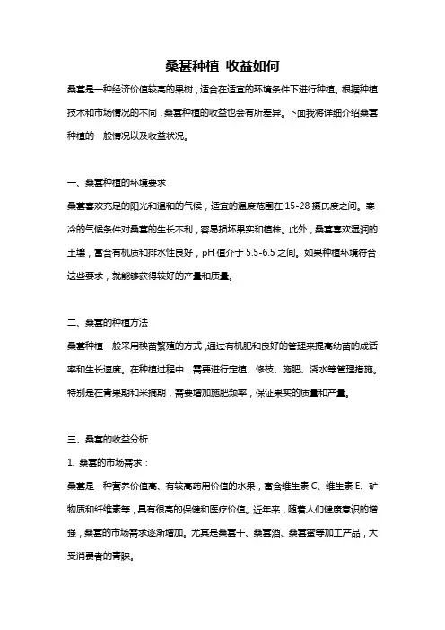 桑葚种植 收益如何