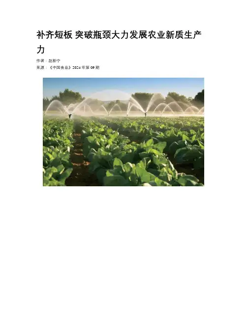 补齐短板 突破瓶颈大力发展农业新质生产力