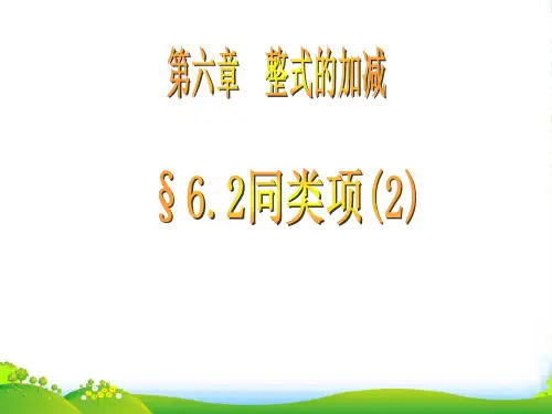 青岛版七年上册数学6.2《同类项(2) 》课件