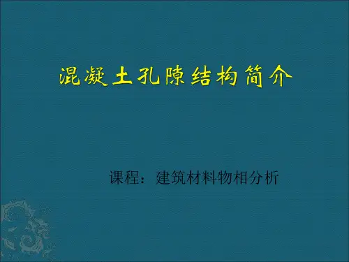 孔隙结构